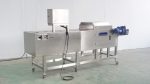 Máquina Cortadora de Tallo de Brócoli | Corte Automático y Ajustable - Imagen 3