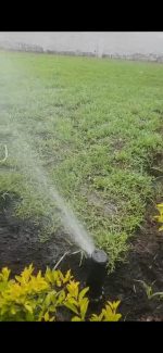 Riego por Aspersión, Goteo ,Bombeo y por Gravedad - Imagen 2